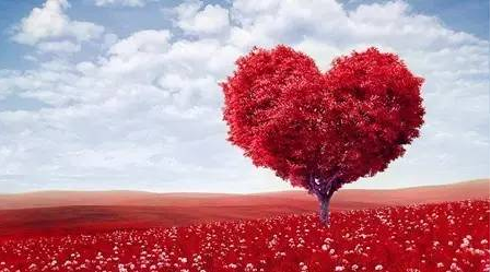 ҪȫĵĐ(i)(li)ӭӽ